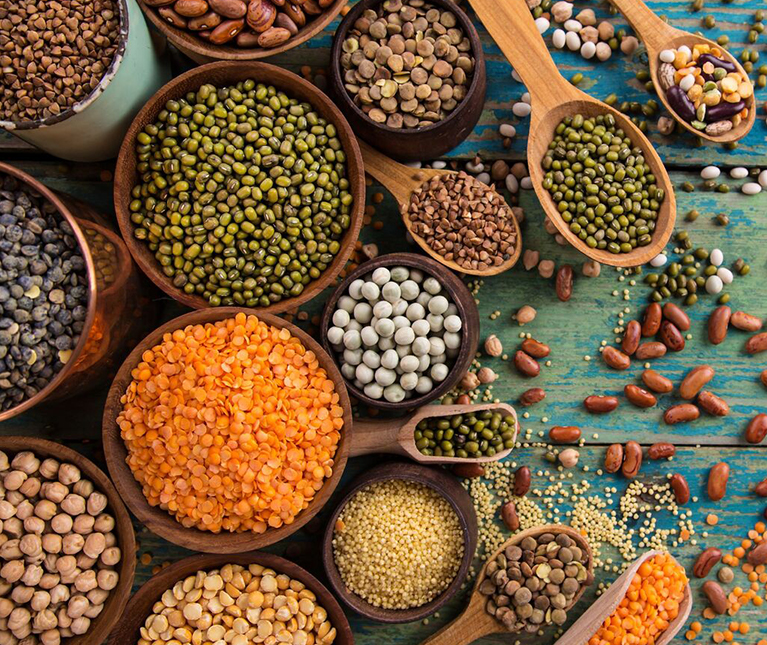 IMPORT AND EXPORT OF GRAINS AND SEEDS